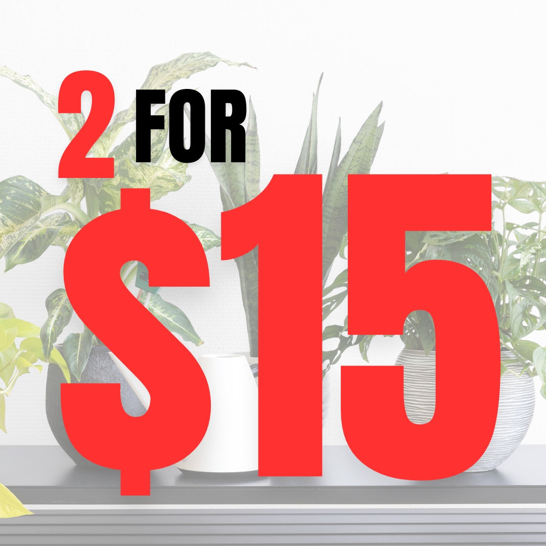 Green Friday 2 for $15 Sale