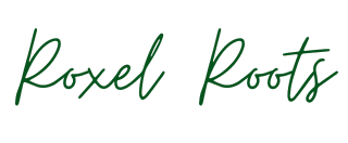 Roxel Roots Fern collection featuring Boston Ferns, Button Ferns, and rare indoor ferns