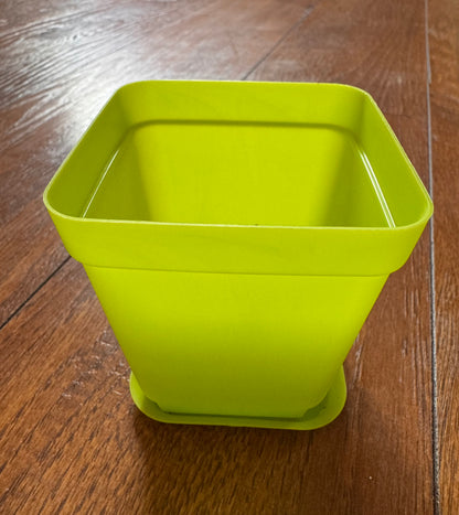 3” Green Pot With Tray