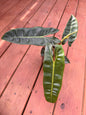 5” Philodendron Billietiae