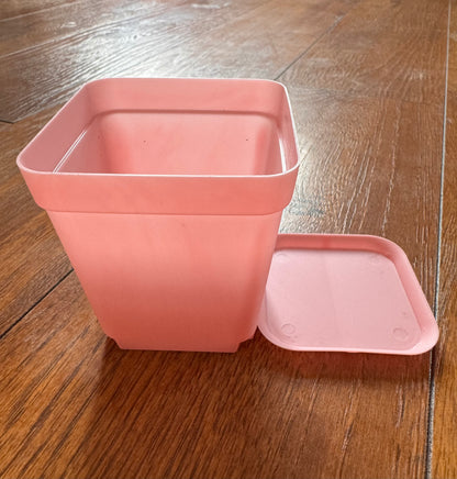 3” Pink Pot With Tray