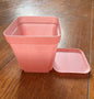 3” Pink Pot With Tray