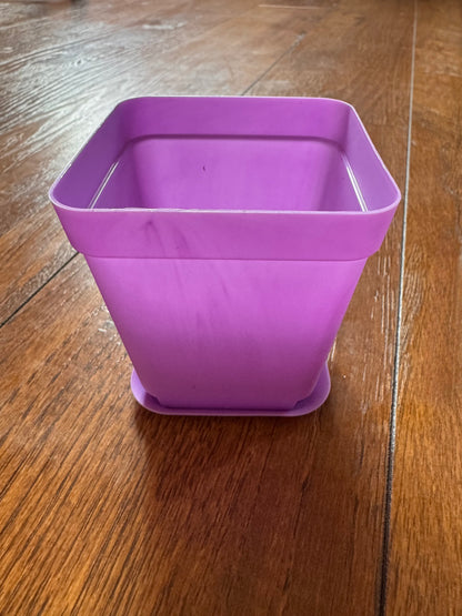 3” Purple Pot With Tray