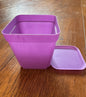 3” Purple Pot With Tray