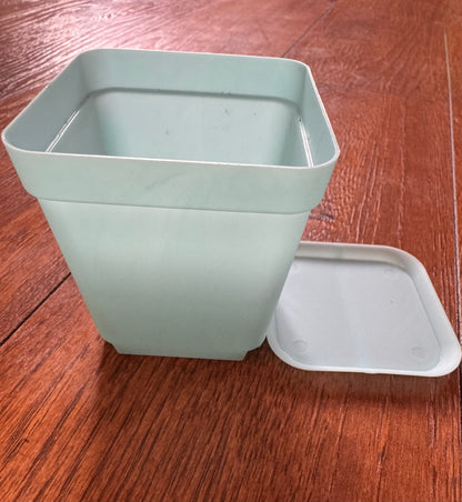 3” Blue Pot With Tray