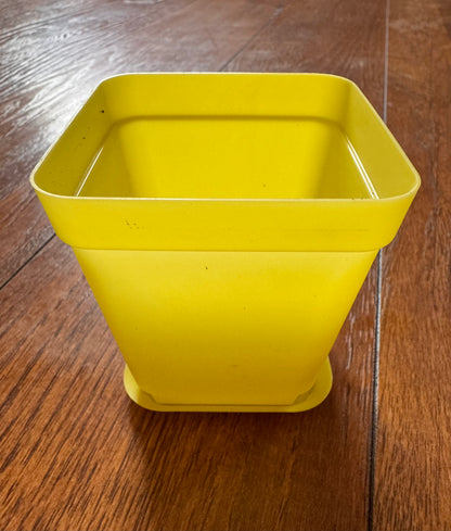 3” Yellow Pot With Tray