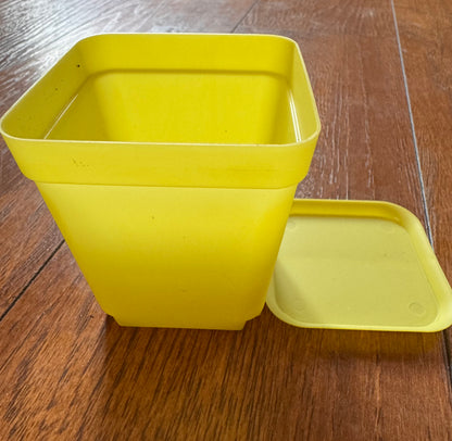 3” Yellow Pot With Tray