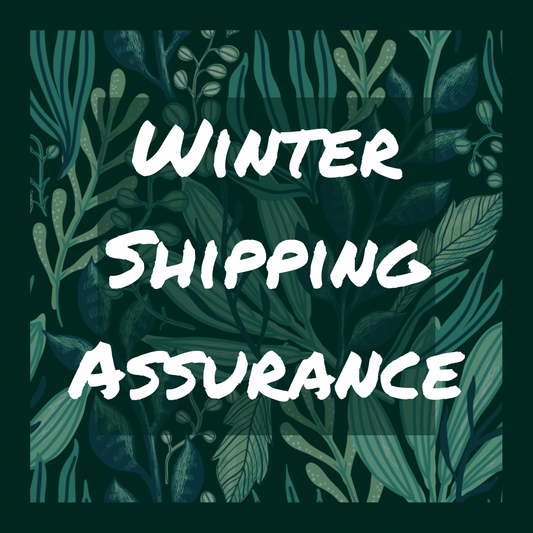 Winter Shipping Protection (Heat Pack + Insulation)