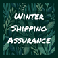 Winter Shipping Protection (Heat Pack + Insulation)