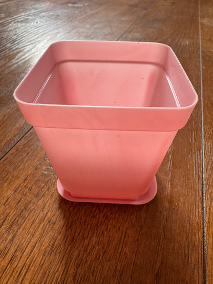 3” Pink Pot With Tray