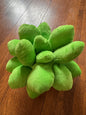 10” Succulent Plush