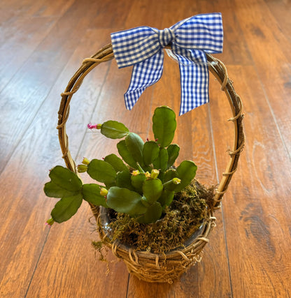 easter cactus in decorative basket with bow and blooming flowers